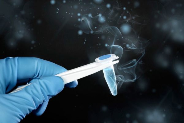 Semen Freezing Process