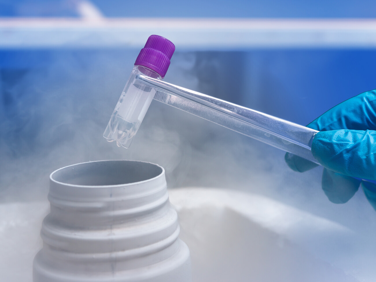 Embryo Freezing